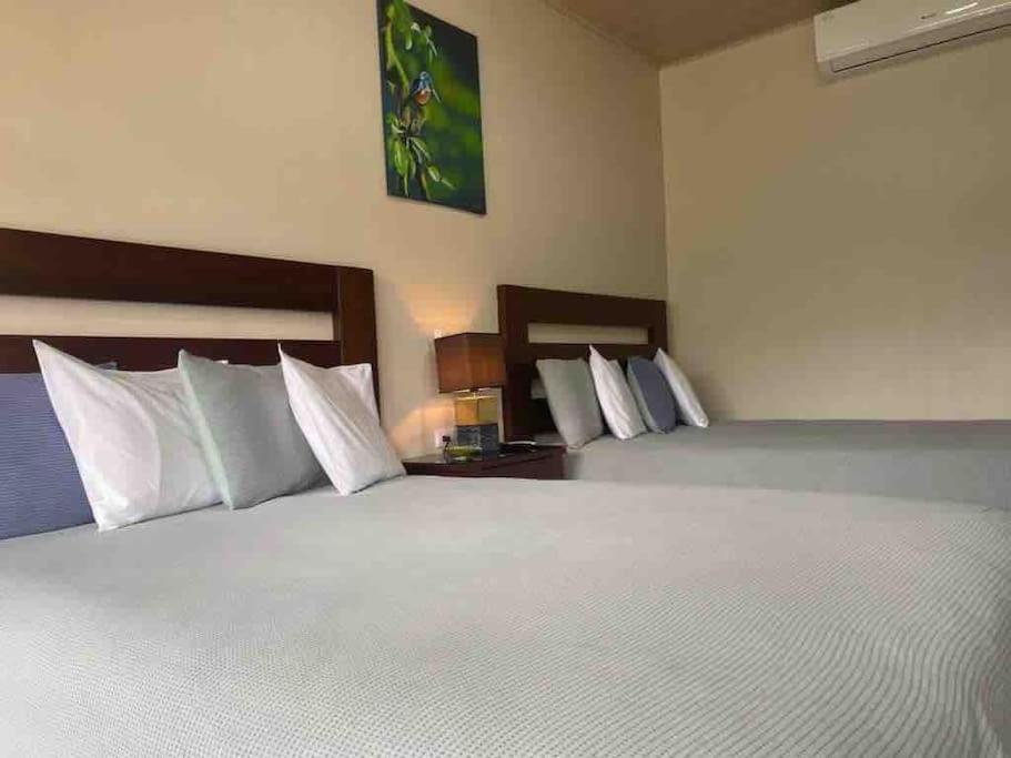 Lisa Loft Boutique Apartment La Fortuna Buitenkant foto